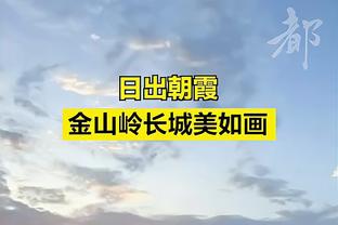 2012年王大雷首秀以来为国足出战29场，仅在佩兰时期是国足一门